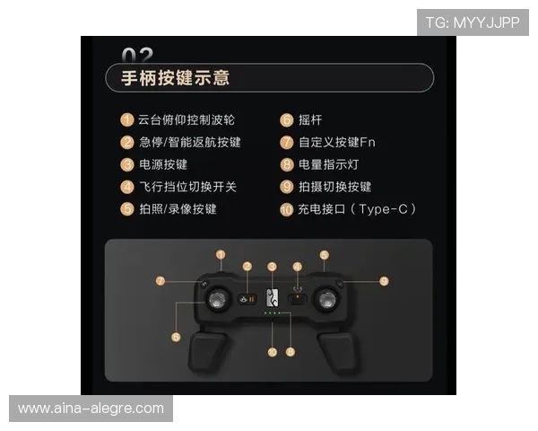 dg视讯试玩最新案例分析讲解成功玩家的精彩操作经验分享